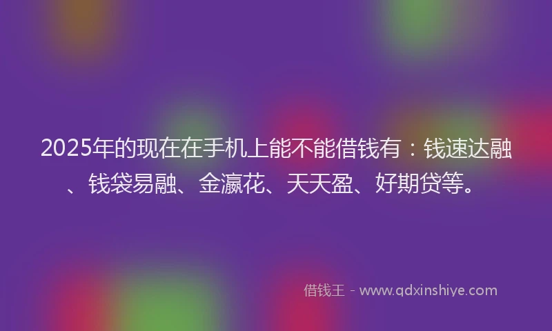 2025年的现在在手机上能不能借钱有：钱速达融、钱袋易融、金瀛花、天天盈、好期贷等。