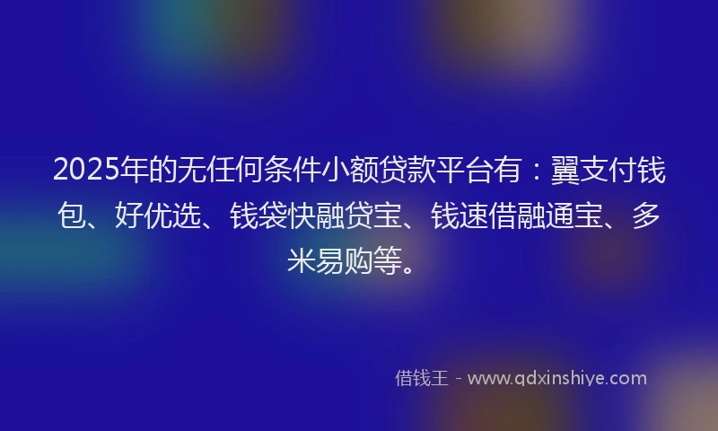 2025年的无任何条件小额贷款平台有：翼支付钱包、好优选、钱袋快融贷宝、钱速借融通宝、多米易购等。