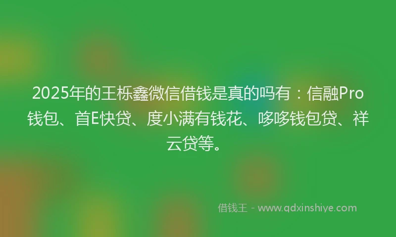 2025年的王栎鑫微信借钱是真的吗有：信融Pro钱包、首E快贷、度小满有钱花、哆哆钱包贷、祥云贷等。