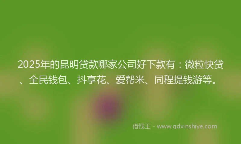 2025年的昆明贷款哪家公司好下款有：微粒快贷、全民钱包、抖享花、爱帮米、同程提钱游等。