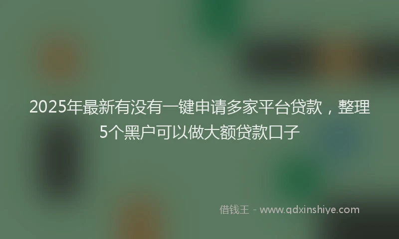 2025年最新有没有一键申请多家平台贷款，整理5个黑户可以做大额贷款口子