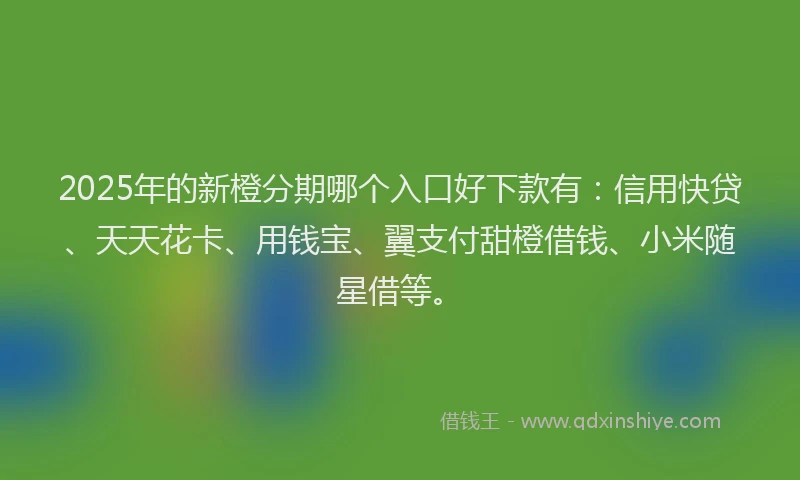 2025年的新橙分期哪个入口好下款有：信用快贷、天天花卡、用钱宝、翼支付甜橙借钱、小米随星借等。