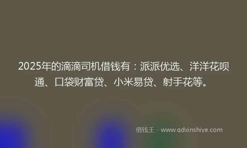 2025年的滴滴司机借钱有：派派优选、洋洋花呗通、口袋财富贷、小米易贷、射手花等。