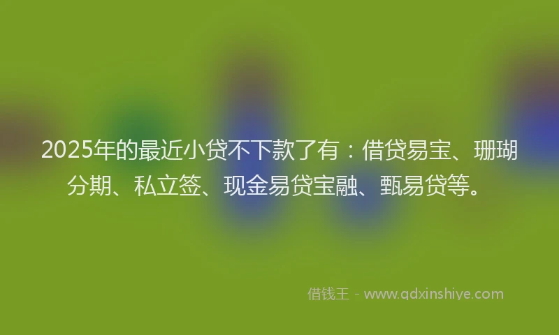 2025年的最近小贷不下款了有：借贷易宝、珊瑚分期、私立签、现金易贷宝融、甄易贷等。
