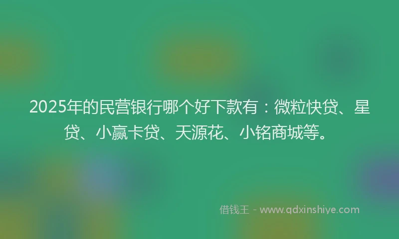 2025年的民营银行哪个好下款有：微粒快贷、星贷、小赢卡贷、天源花、小铭商城等。