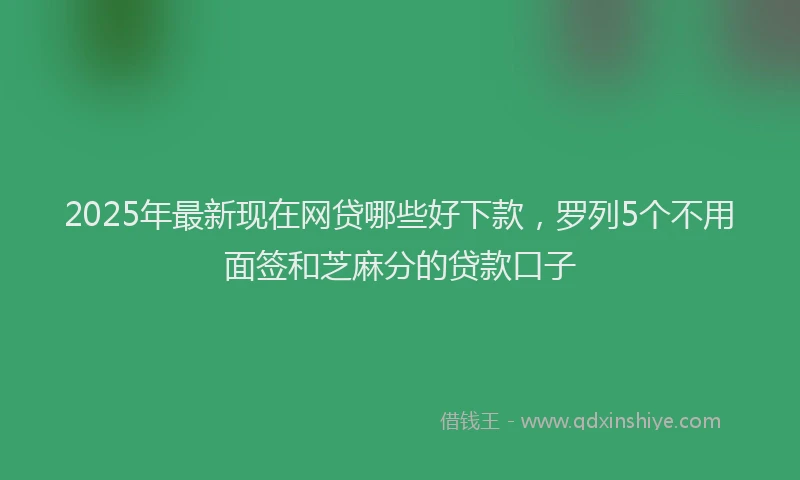 2025年最新现在网贷哪些好下款，罗列5个不用面签和芝麻分的贷款口子