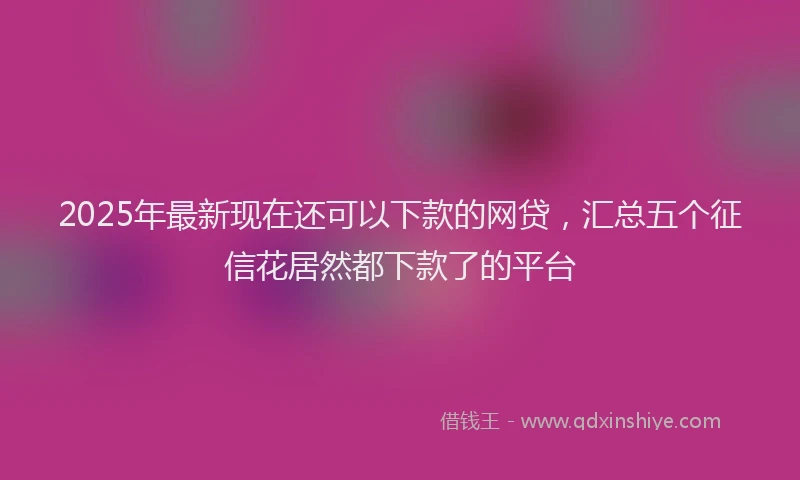 2025年最新现在还可以下款的网贷，汇总五个征信花居然都下款了的平台