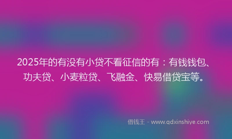 2025年的有没有小贷不看征信的有：有钱钱包、功夫贷、小麦粒贷、飞融金、快易借贷宝等。