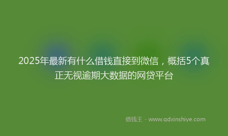 2025年最新有什么借钱直接到微信，概括5个真正无视逾期大数据的网贷平台