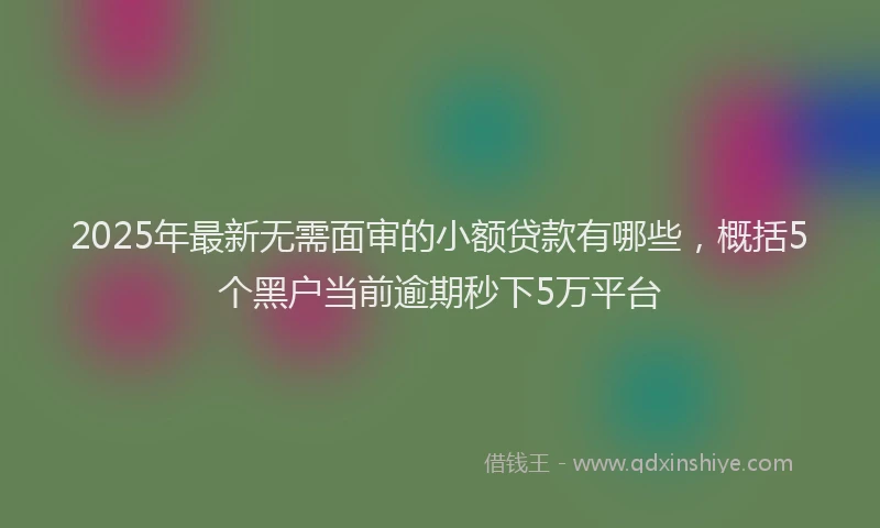 2025年最新无需面审的小额贷款有哪些，概括5个黑户当前逾期秒下5万平台