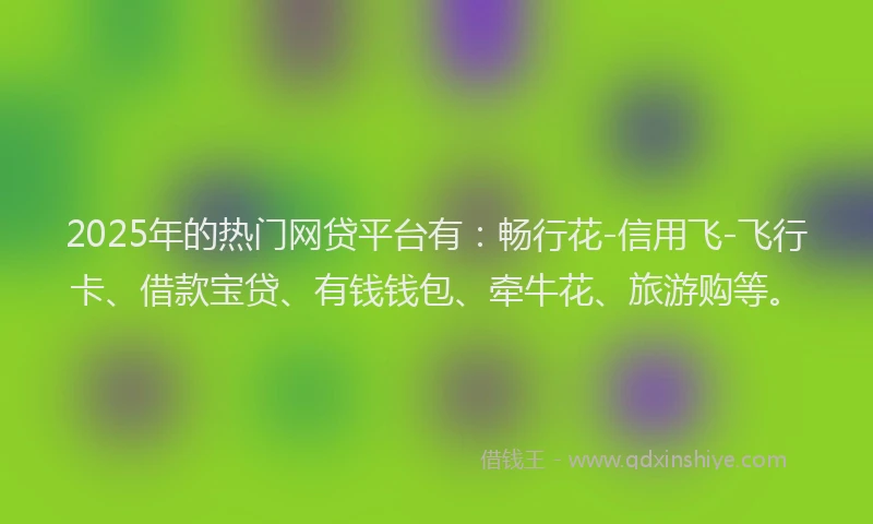 2025年的热门网贷平台有：畅行花-信用飞-飞行卡、借款宝贷、有钱钱包、牵牛花、旅游购等。