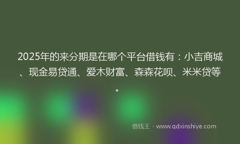 2025年的来分期是在哪个平台借钱有：小吉商城、现金易贷通、爱木财富、森森花呗、米米贷等。
