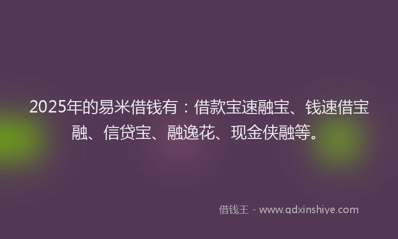 2025年的易米借钱有：借款宝速融宝、钱速借宝融、信贷宝、融逸花、现金侠融等。