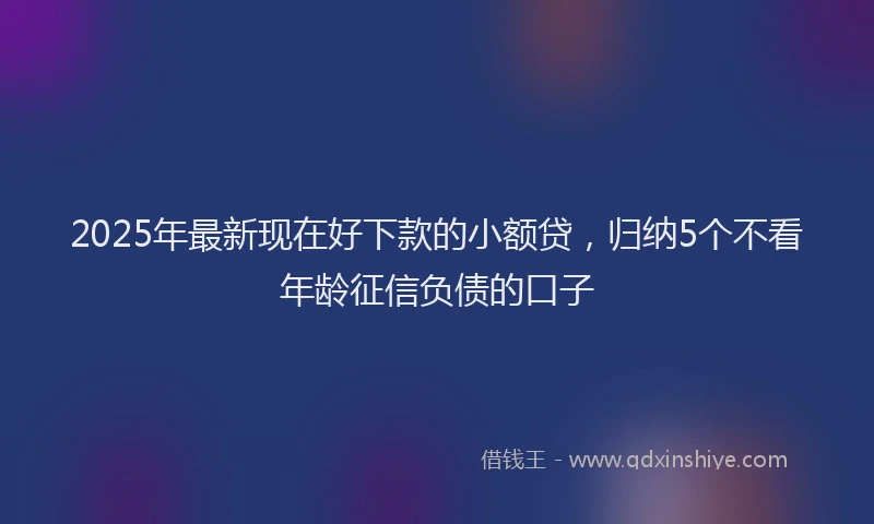 2025年最新现在好下款的小额贷，归纳5个不看年龄征信负债的口子