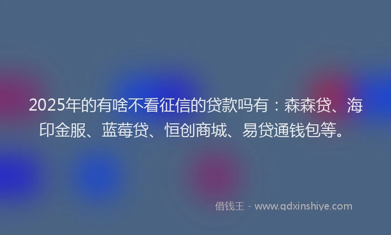 2025年的有啥不看征信的贷款吗有：森森贷、海印金服、蓝莓贷、恒创商城、易贷通钱包等。