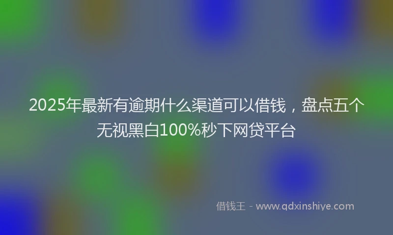 2025年最新有逾期什么渠道可以借钱，盘点五个无视黑白100%秒下网贷平台