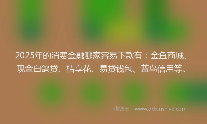 2025年的消费金融哪家容易下款有：金鱼商城、现金白鸽贷、桔享花、易贷钱包、蓝鸟信用等。
