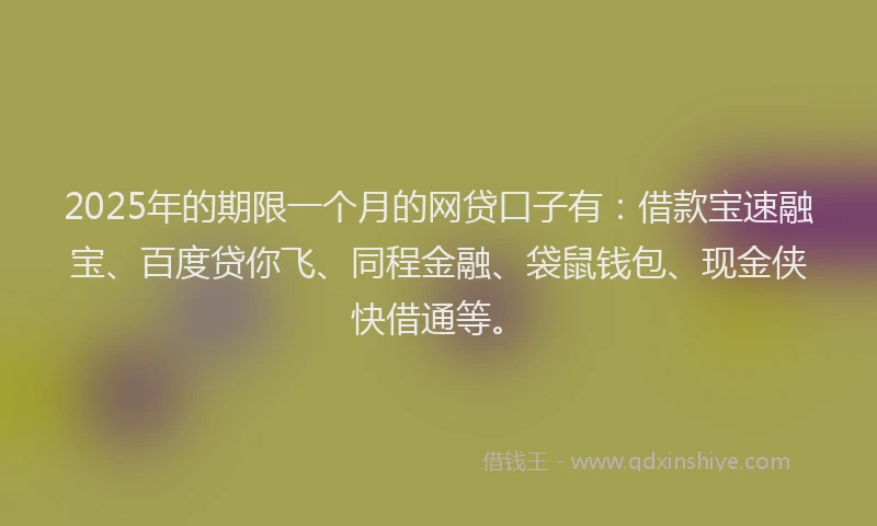 2025年的期限一个月的网贷口子有：借款宝速融宝、百度贷你飞、同程金融、袋鼠钱包、现金侠快借通等。
