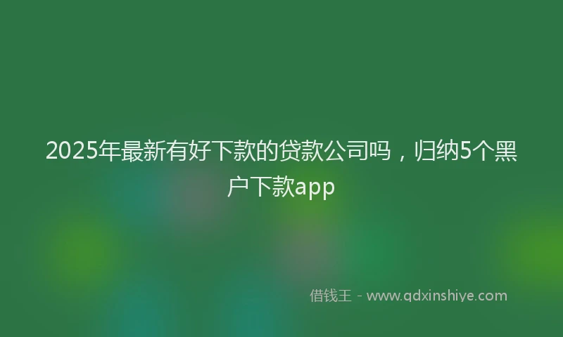 2025年最新有好下款的贷款公司吗，归纳5个黑户下款app