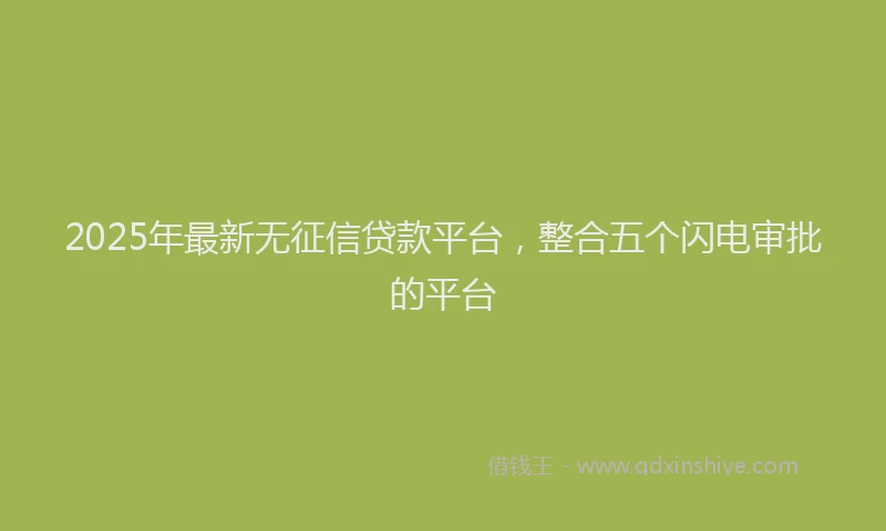 2025年最新无征信贷款平台，整合五个闪电审批的平台