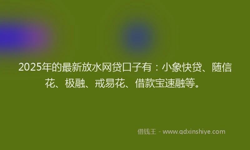 2025年的最新放水网贷口子有：小象快贷、随信花、极融、戒易花、借款宝速融等。