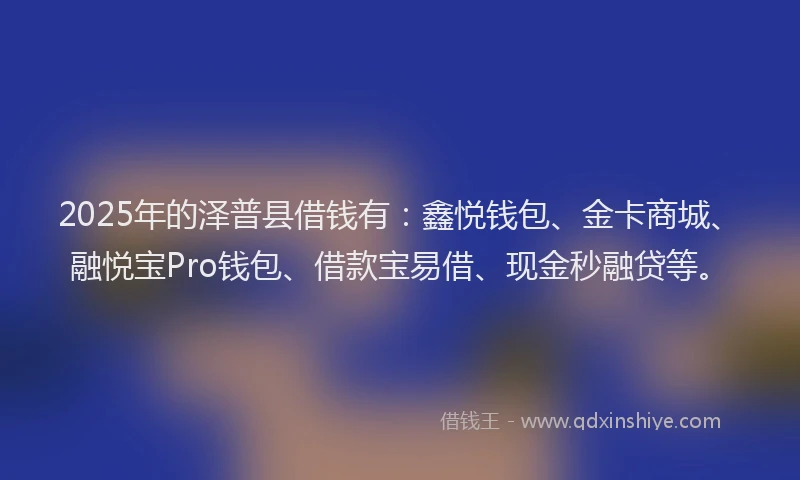 2025年的泽普县借钱有：鑫悦钱包、金卡商城、融悦宝Pro钱包、借款宝易借、现金秒融贷等。