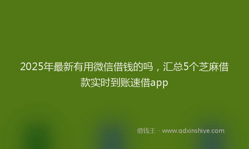 2025年最新有用微信借钱的吗，汇总5个芝麻借款实时到账速借app