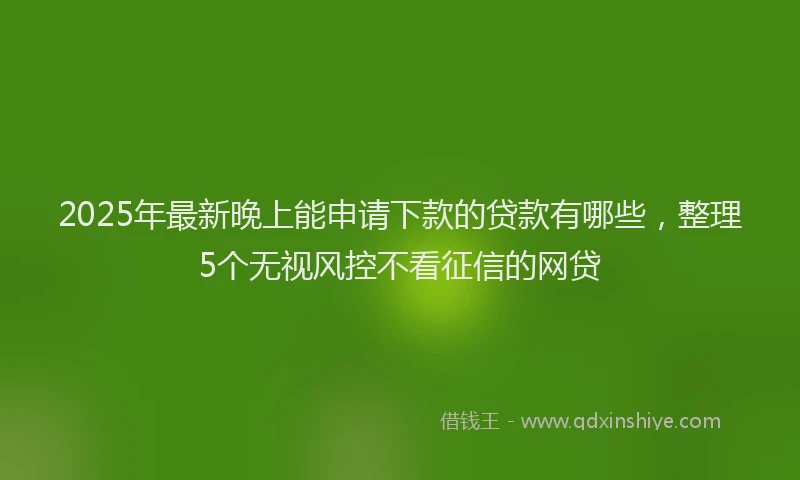 2025年最新晚上能申请下款的贷款有哪些，整理5个无视风控不看征信的网贷