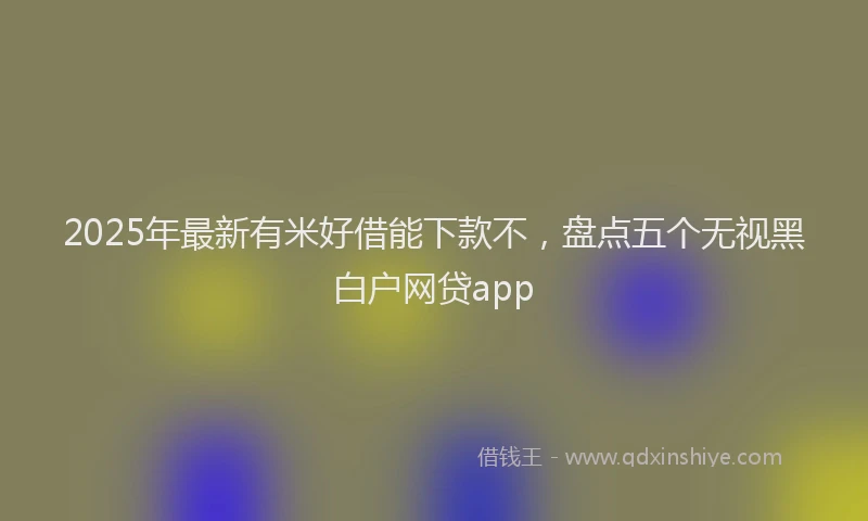 2025年最新有米好借能下款不，盘点五个无视黑白户网贷app
