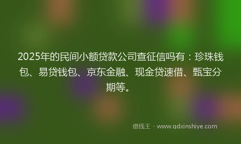 2025年的民间小额贷款公司查征信吗有：珍珠钱包、易贷钱包、京东金融、现金贷速借、甄宝分期等。