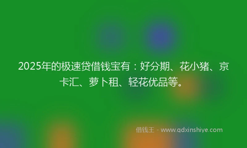 2025年的极速贷借钱宝有：好分期、花小猪、京卡汇、萝卜租、轻花优品等。