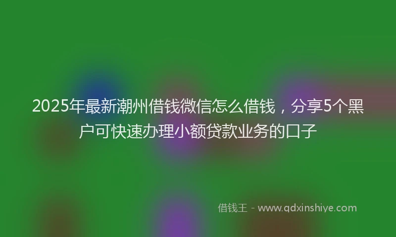 2025年最新潮州借钱微信怎么借钱，分享5个黑户可快速办理小额贷款业务的口子