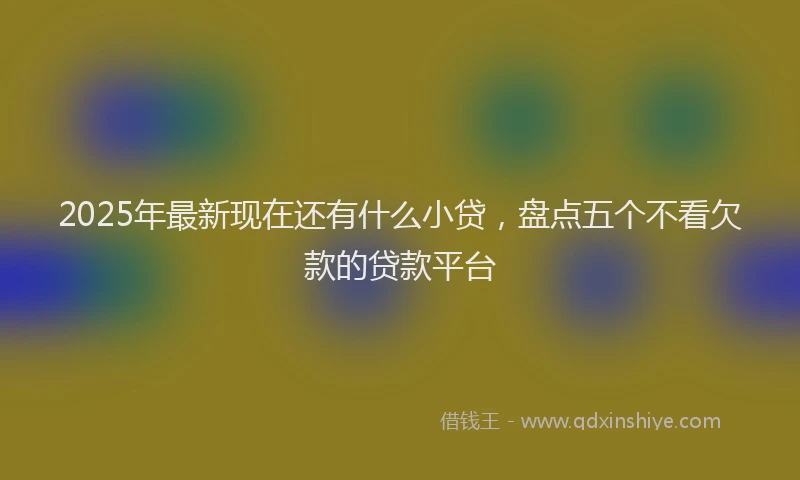 2025年最新现在还有什么小贷，盘点五个不看欠款的贷款平台