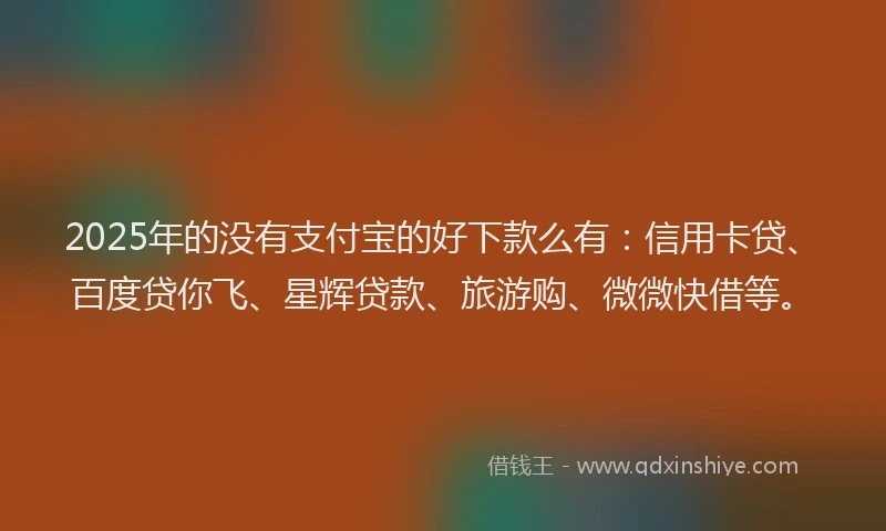 2025年的没有支付宝的好下款么有：信用卡贷、百度贷你飞、星辉贷款、旅游购、微微快借等。
