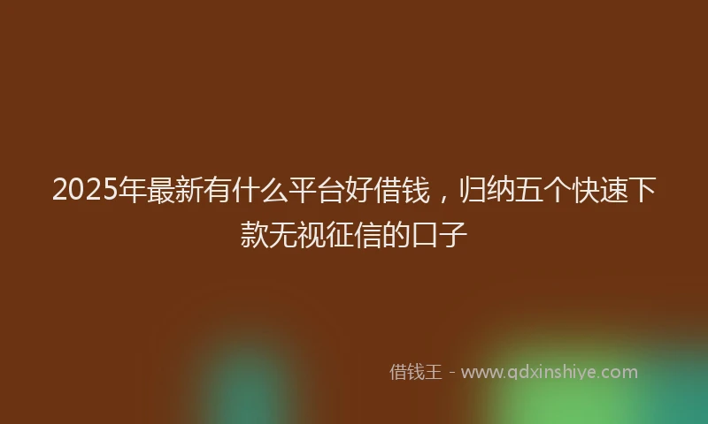 2025年最新有什么平台好借钱，归纳五个快速下款无视征信的口子