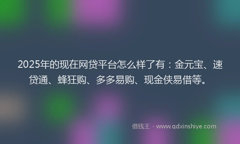 2025年的现在网贷平台怎么样了有：金元宝、速贷通、蜂狂购、多多易购、现金侠易借等。