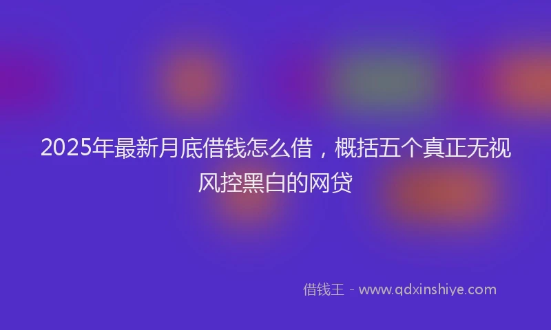 2025年最新月底借钱怎么借，概括五个真正无视风控黑白的网贷