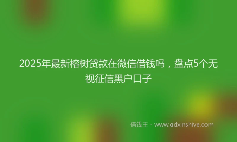 2025年最新榕树贷款在微信借钱吗，盘点5个无视征信黑户口子