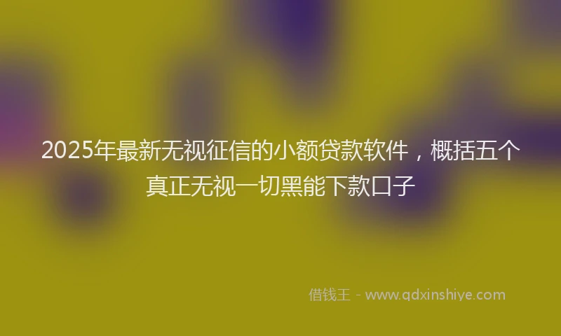 2025年最新无视征信的小额贷款软件，概括五个真正无视一切黑能下款口子