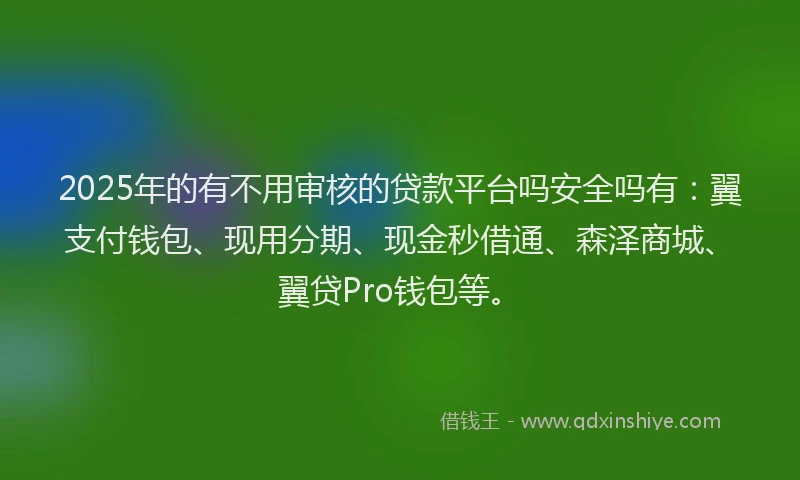 2025年的有不用审核的贷款平台吗安全吗有：翼支付钱包、现用分期、现金秒借通、森泽商城、翼贷Pro钱包等。