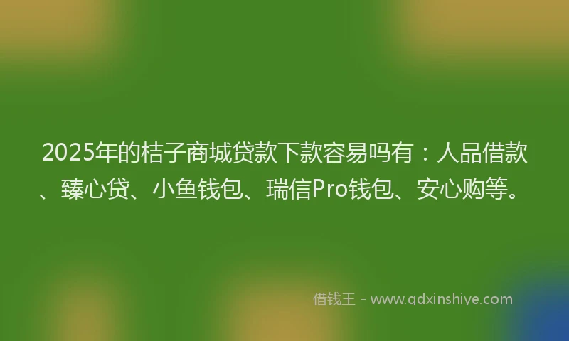 2025年的桔子商城贷款下款容易吗有：人品借款、臻心贷、小鱼钱包、瑞信Pro钱包、安心购等。