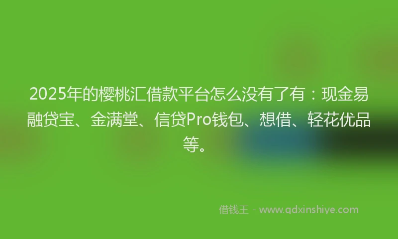 2025年的樱桃汇借款平台怎么没有了有：现金易融贷宝、金满堂、信贷Pro钱包、想借、轻花优品等。