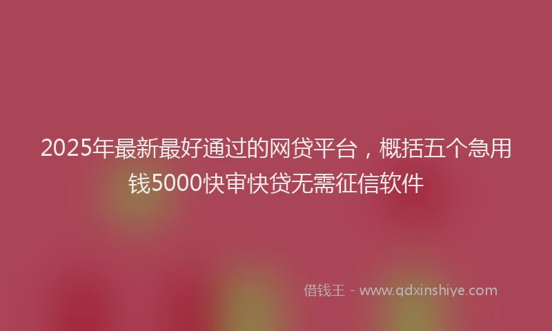2025年最新最好通过的网贷平台，概括五个急用钱5000快审快贷无需征信软件
