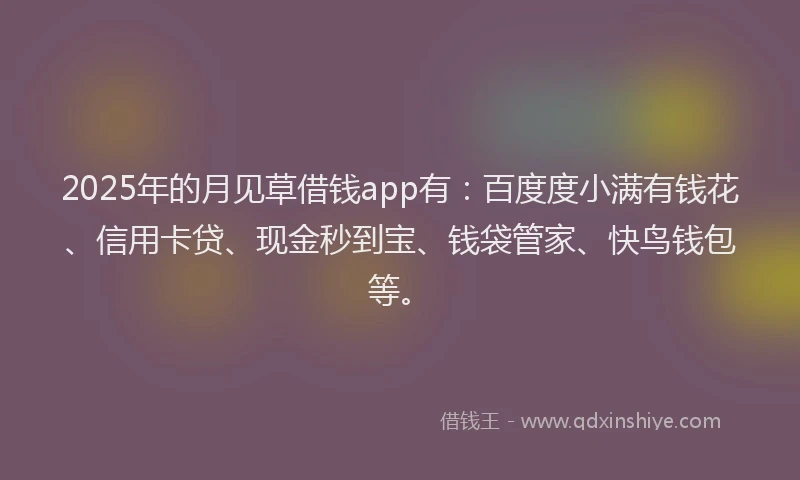 2025年的月见草借钱app有：百度度小满有钱花、信用卡贷、现金秒到宝、钱袋管家、快鸟钱包等。
