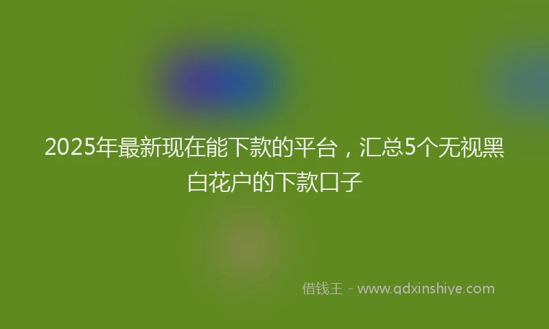 2025年最新现在能下款的平台，汇总5个无视黑白花户的下款口子