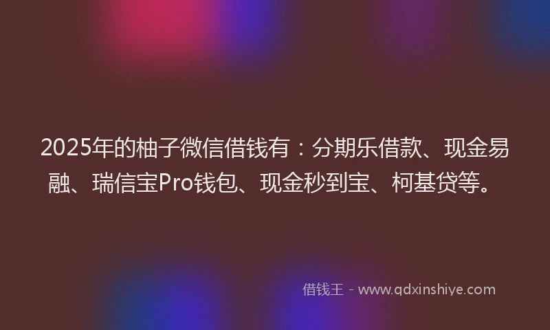 2025年的柚子微信借钱有：分期乐借款、现金易融、瑞信宝Pro钱包、现金秒到宝、柯基贷等。