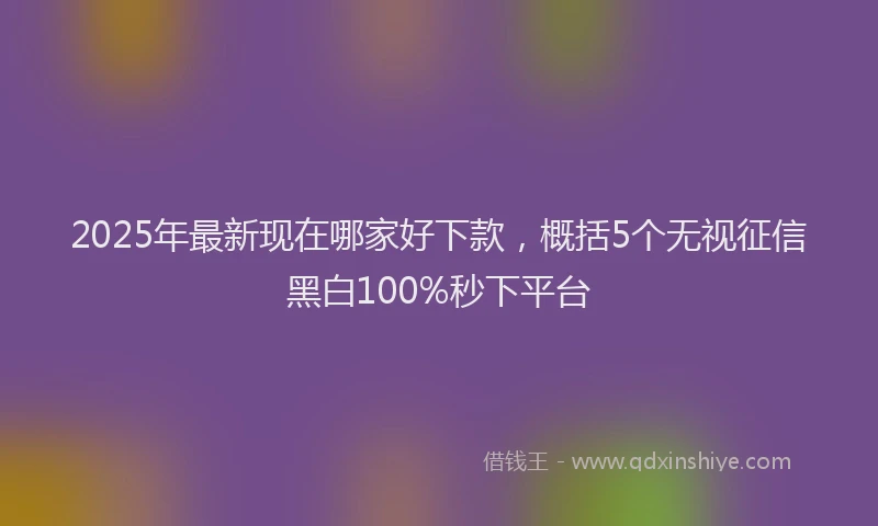 2025年最新现在哪家好下款，概括5个无视征信黑白100%秒下平台