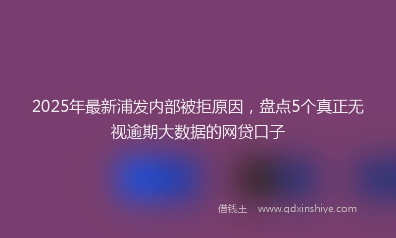 2025年最新浦发内部被拒原因，盘点5个真正无视逾期大数据的网贷口子
