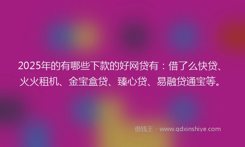 2025年的有哪些下款的好网贷有：借了么快贷、火火租机、金宝盒贷、臻心贷、易融贷通宝等。