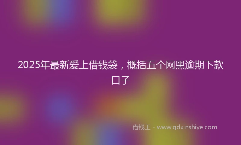 2025年最新爱上借钱袋，概括五个网黑逾期下款口子